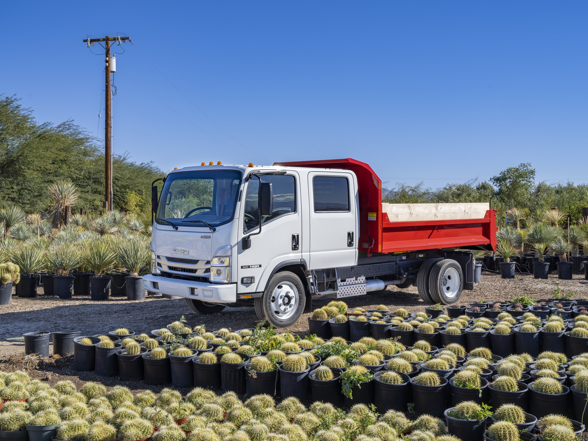 2025 ISUZU NRRGAS - image 1 of 1